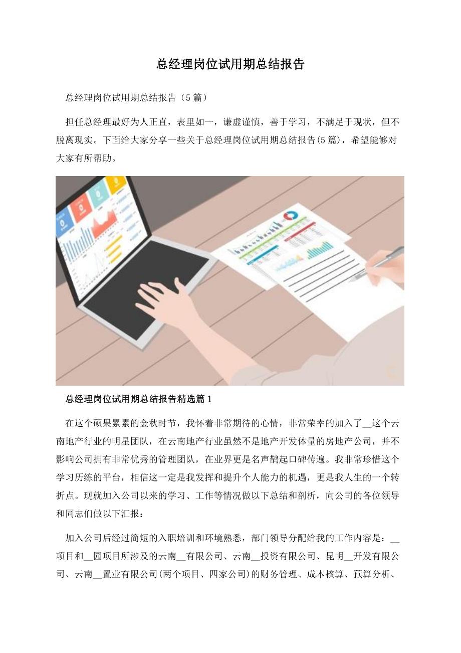 总经理岗位试用期总结报告.docx_第1页