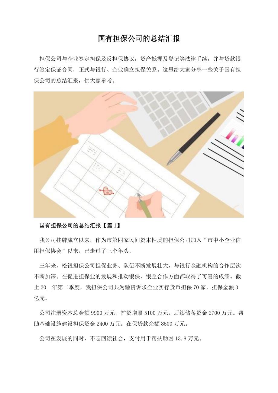 国有担保公司的总结汇报.docx_第1页