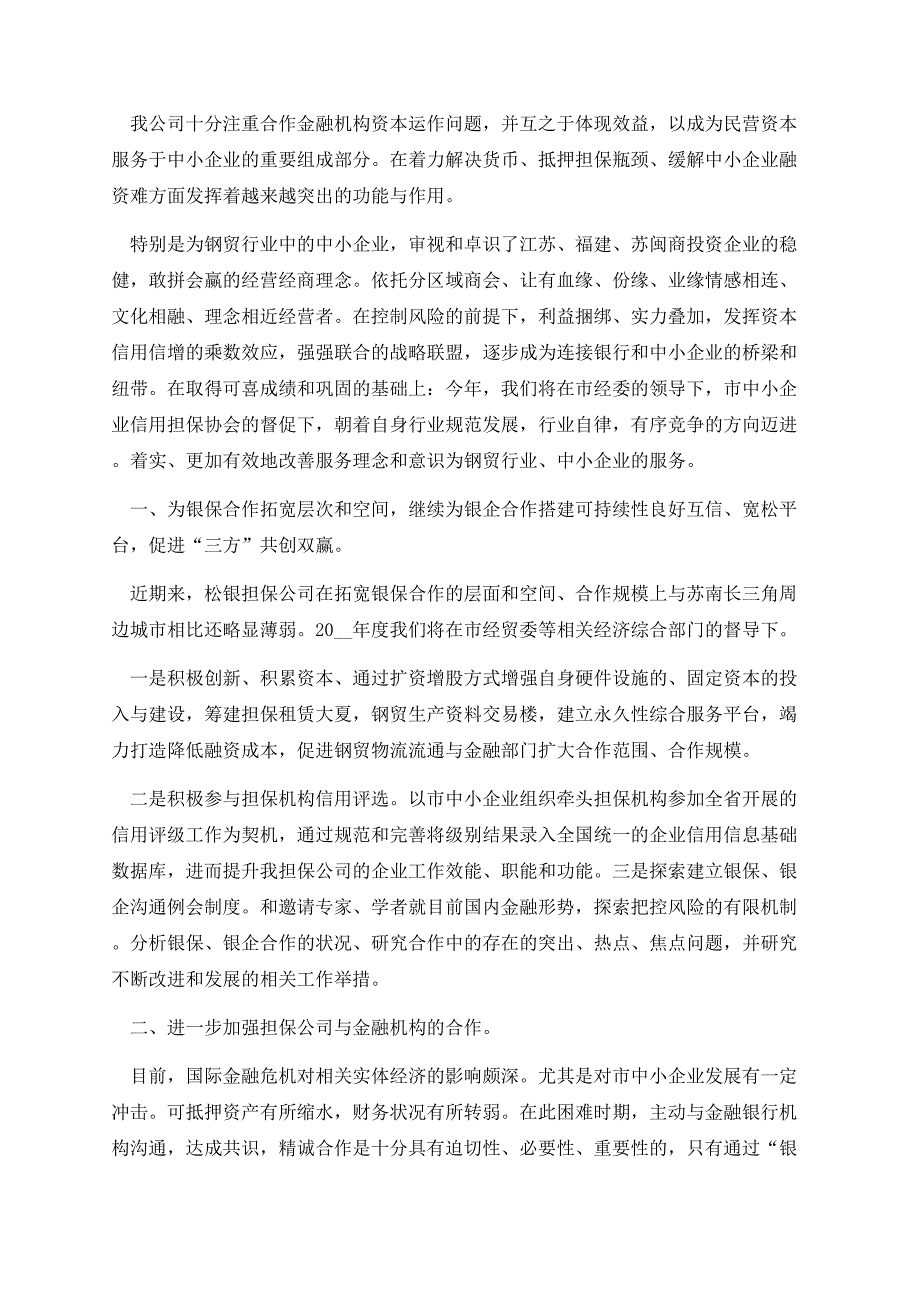 国有担保公司的总结汇报.docx_第2页