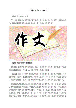 《遇见》作文800字.docx