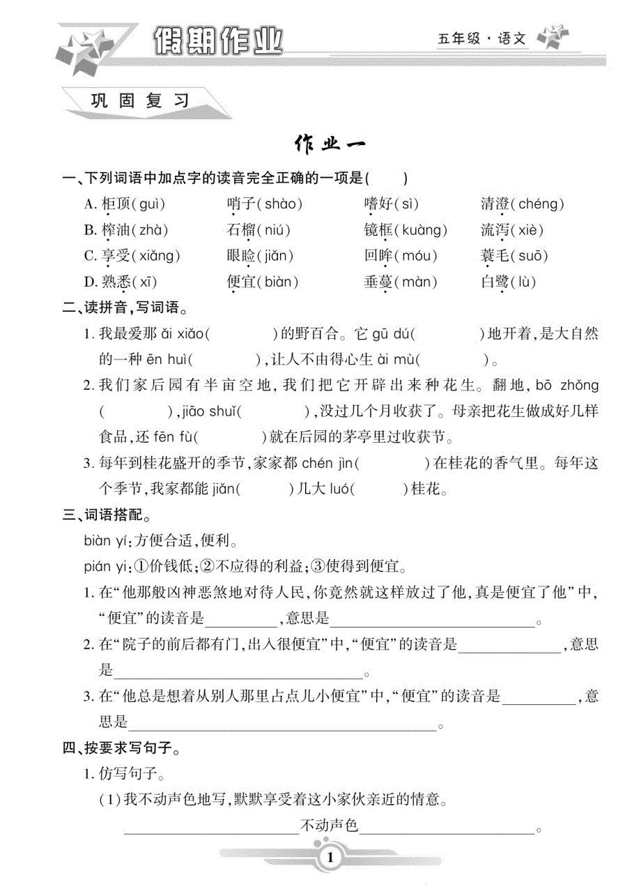 《寒假作业》语文5年级（BB）.pdf_第3页