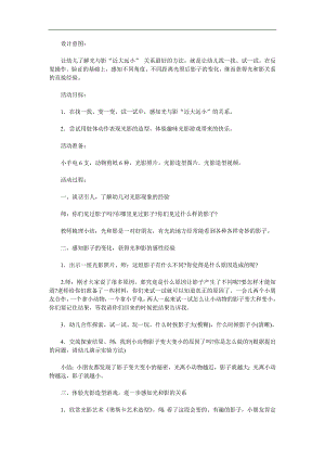 大班科学《有趣的影子》PPT课件教案参考教案.docx