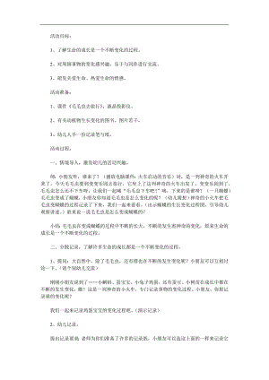 小班科学公开课《毛毛虫变蝴蝶》PPT课件教案参考教案.docx