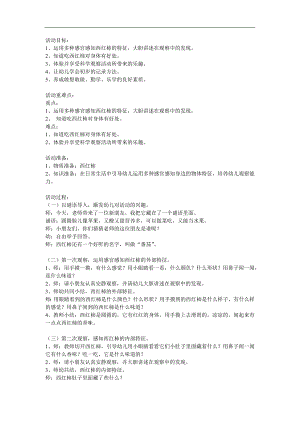 中班健康《认识西红柿》PPT课件教案参考教案.docx