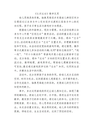 中班数学《左与右》PPT课件教案微反思.docx