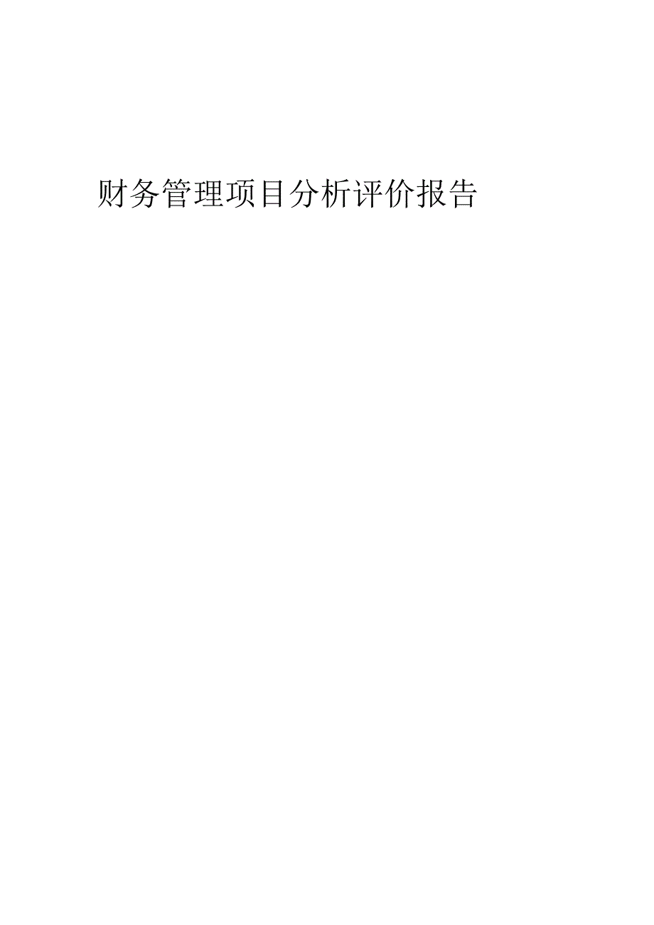 2024年财务管理项目分析评价报告.docx_第1页