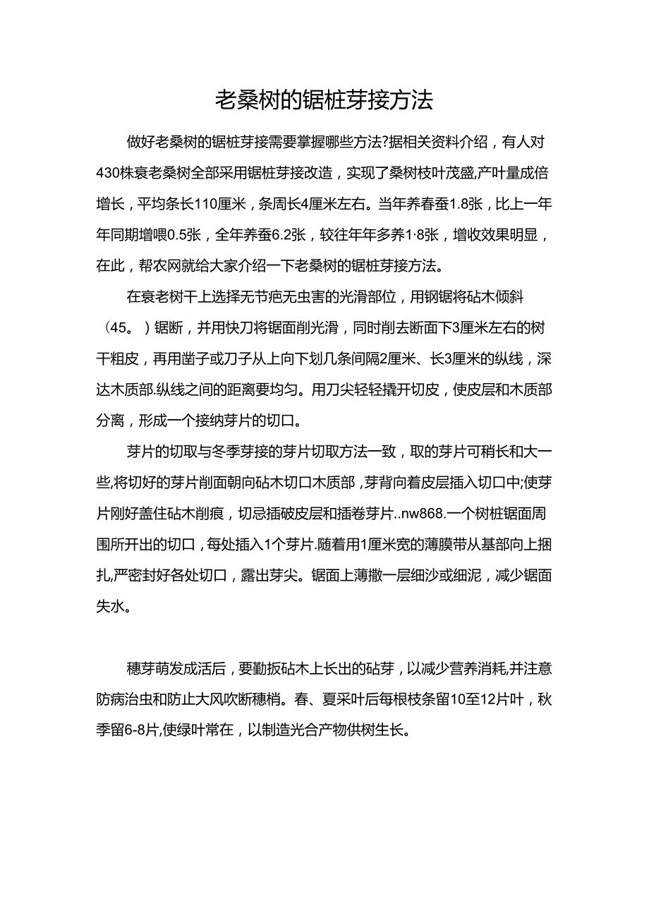 老桑树的锯桩芽接方法.docx_第1页