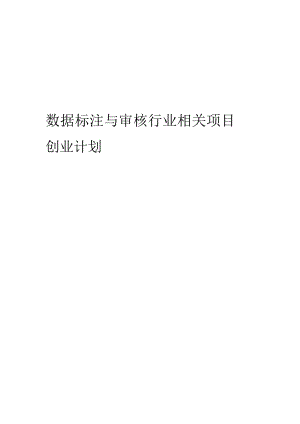 数据标注与审核行业相关项目创业计划书.docx