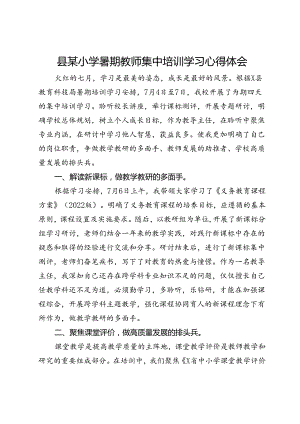 县某小学暑期教师集中培训学习心得体会.docx