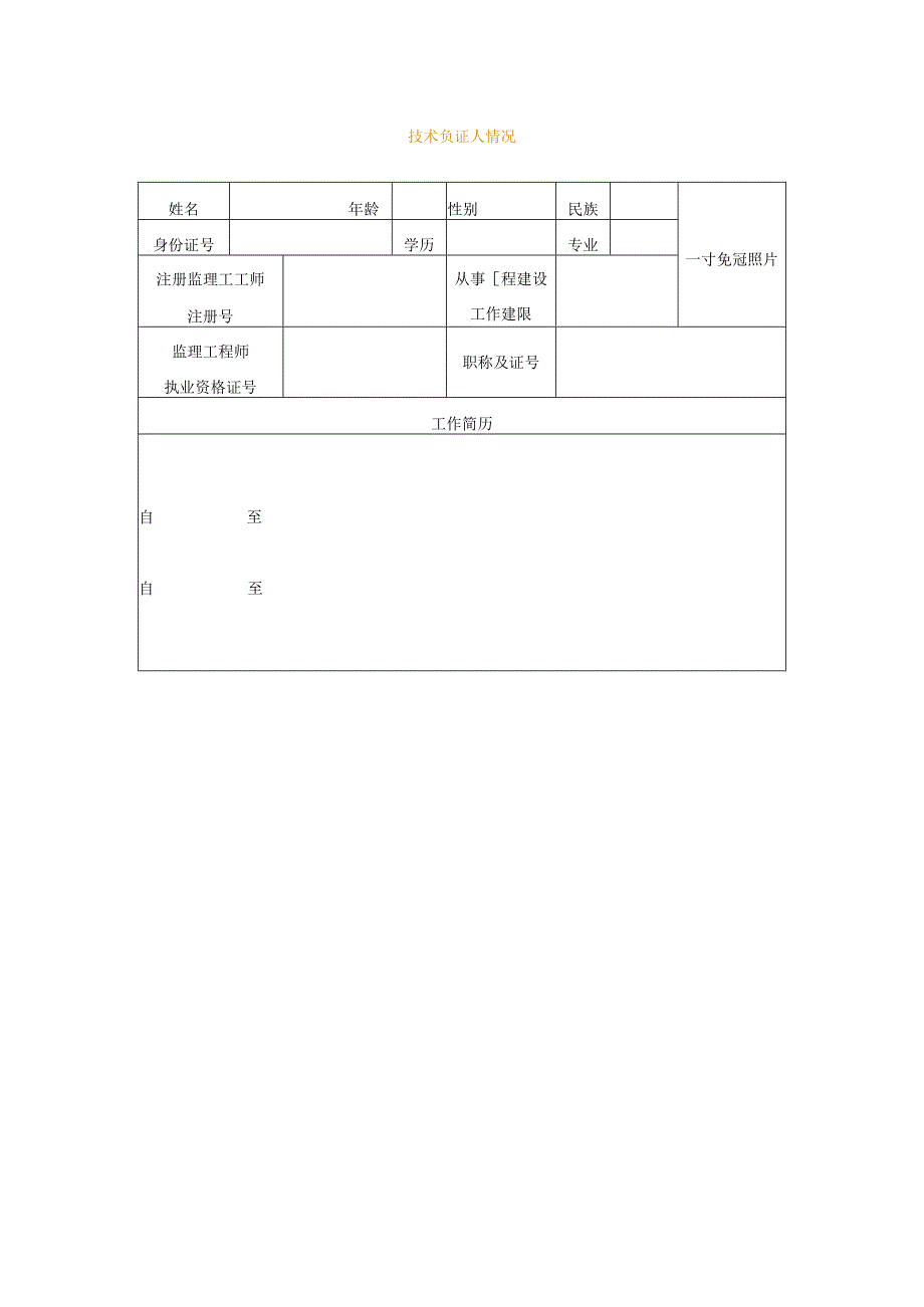 技 术 负 责 人 情 况表模板.docx_第1页