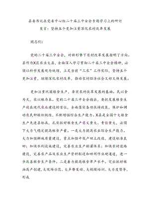 县委书记在党委中心组二 十届三 中全会专题学习上的研讨发言：坚持五个更加注重深化农村改革发展.docx