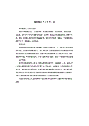 青年教师个人工作计划.docx