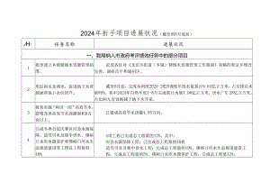 2024年折子项目进展情况截至到8月底前.docx