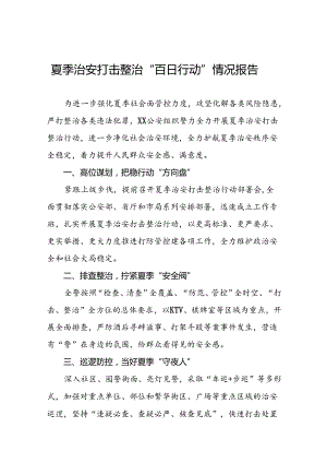 2024年夏季治安打击整治行动工作总结十四篇.docx