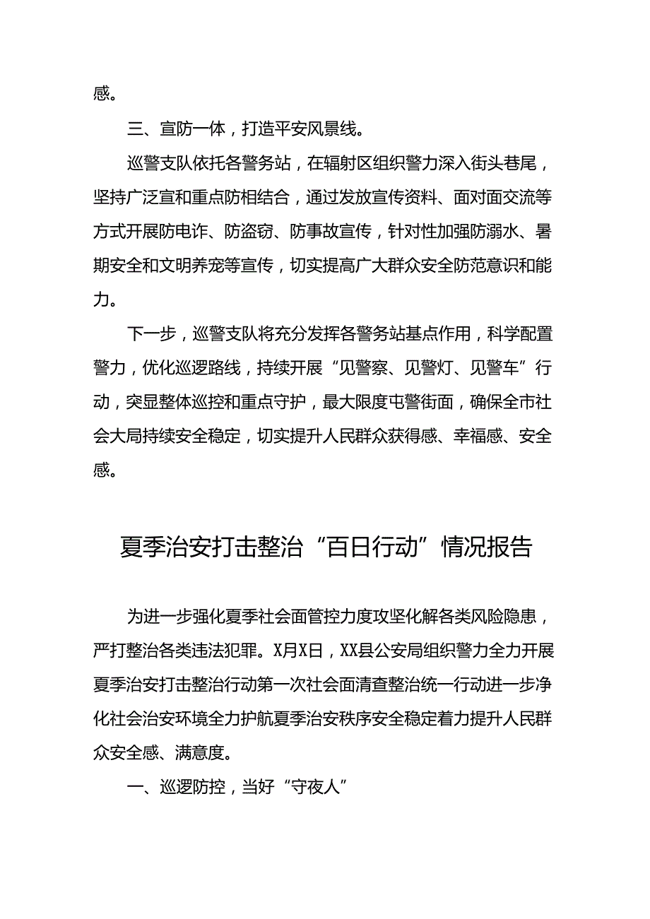 2024年夏季治安打击整治行动总结汇报十四篇.docx_第2页