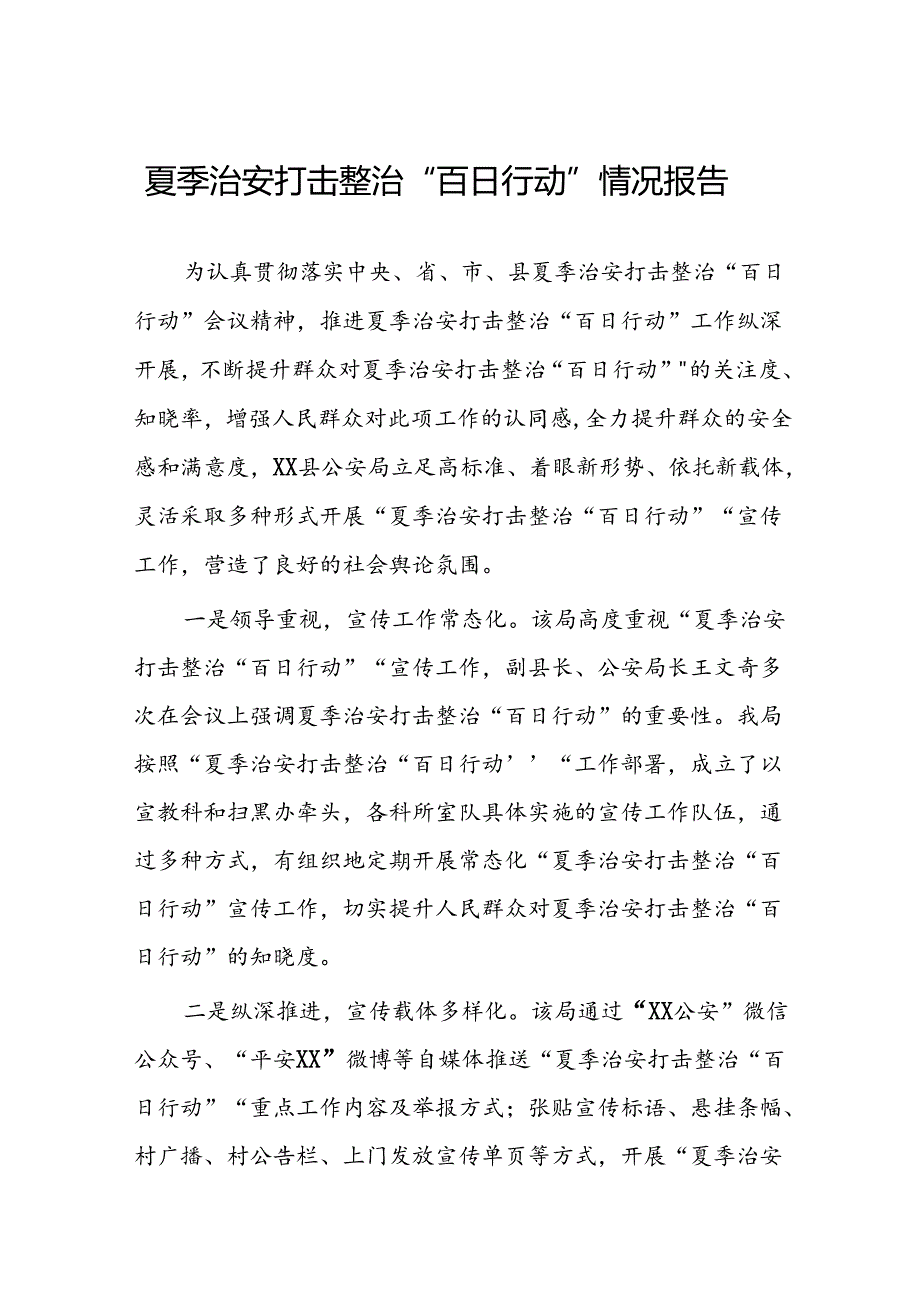 2024年公安推动夏季治安打击整治行动的情况报告(十一篇).docx_第1页