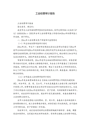 工会经费审计报告.docx