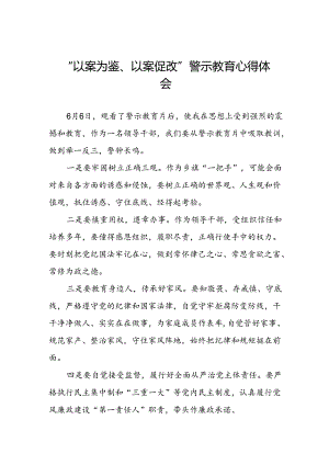 以案为鉴、以案促改警示教育大会的心得体会3篇.docx