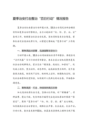 十八篇公安2024年夏季治安打击整治行动情况汇报.docx