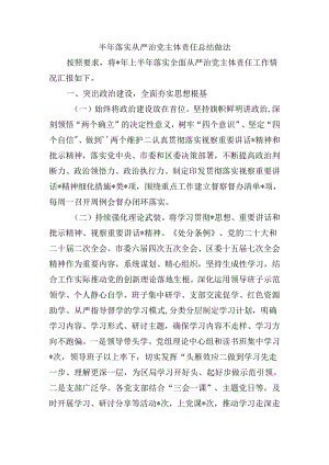 半年落实从严治党主体责任总结做法.docx