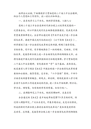 二十届三中全会精神研讨发言提纲.docx