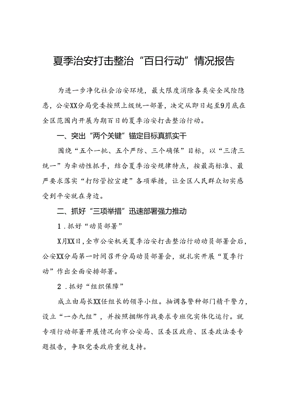 公安2024年夏季治安打击整治行动工作总结报告五篇.docx_第1页