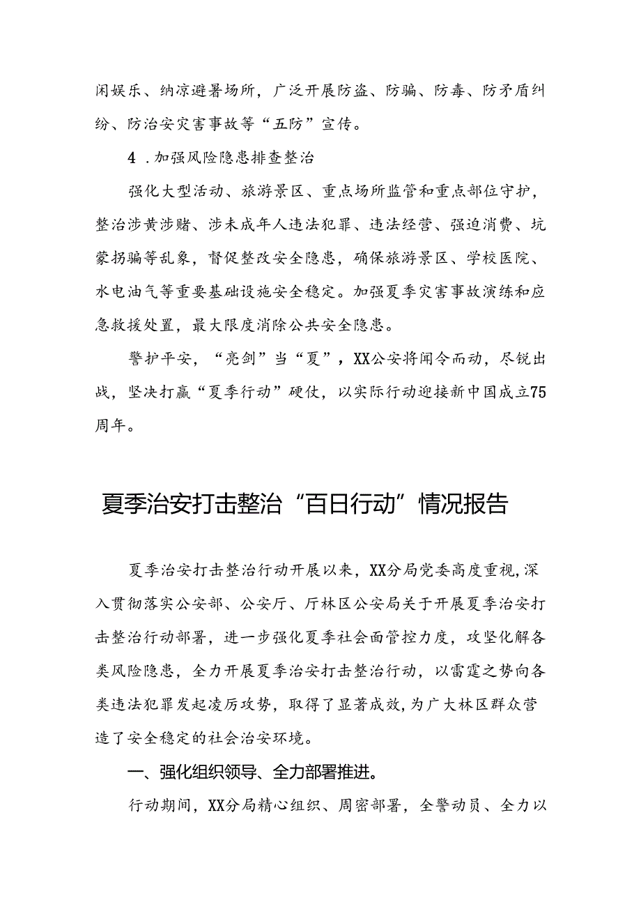 公安2024年夏季治安打击整治行动工作总结报告五篇.docx_第3页