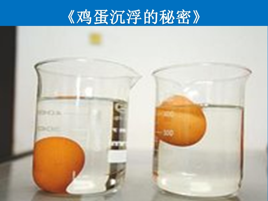 中班科学《盐水的浮力》PPT课件教案微课件.pptx_第2页