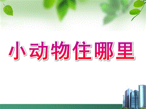 中班数学《小动物住哪里》PPT课件教案中班数学：小动物住哪里.pptx