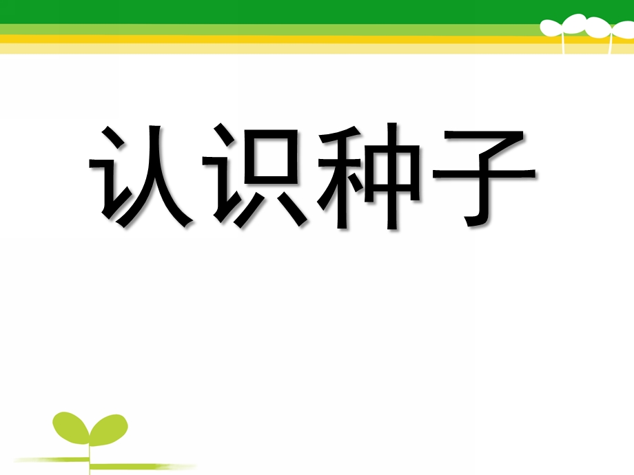 中班科学《认识种子》PPT课件教案幼儿中班认识种子.pptx_第1页