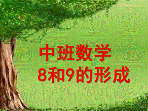 中班数学《8和9的形成》PPT课件幼儿园中班数学8和9-的形成.pptx