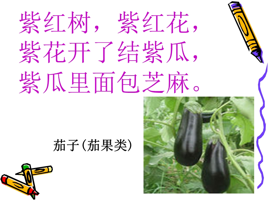 中班《蔬菜王国》PPT课件教案走进蔬菜王国.pptx_第3页