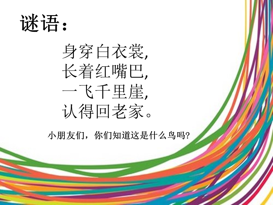 中班科学《会送信的鸽子》PPT课件教案中班科学：会送信的鸽子.pptx_第3页