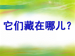 中班科学《它们藏在哪儿》PPT课件教案科常：它们藏在哪儿？(昆虫.pptx