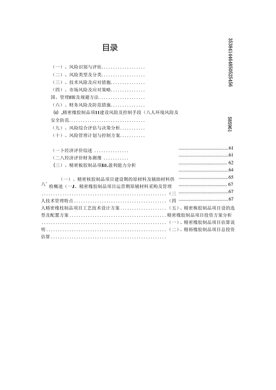 精密橡胶制品项目招商引资融资方案.docx_第2页