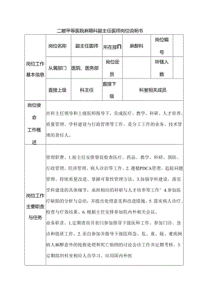 二级甲等医院麻醉科副主任医师岗位说明书.docx