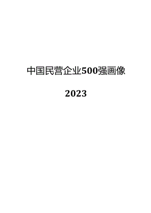 2024中国民营企业500强画像.docx