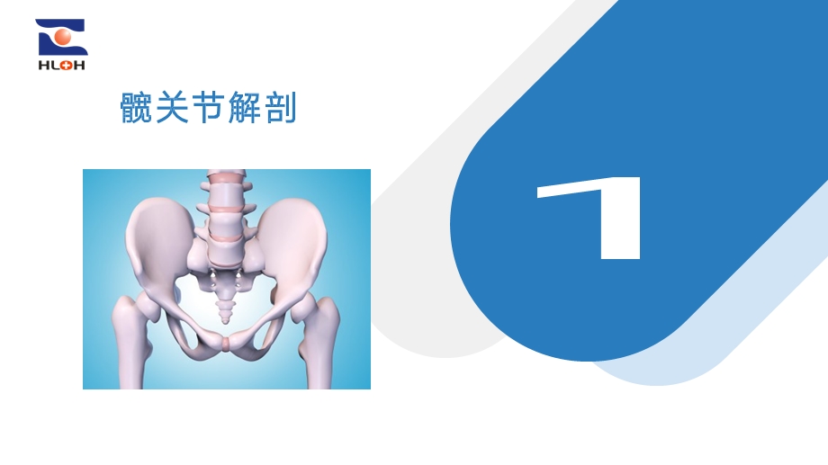 髋关节超声检查及常见病变精准诊疗.pptx_第3页