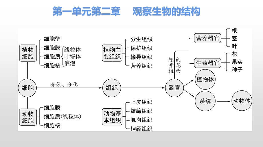 济南版初中生物四册书思维导图.pptx_第3页