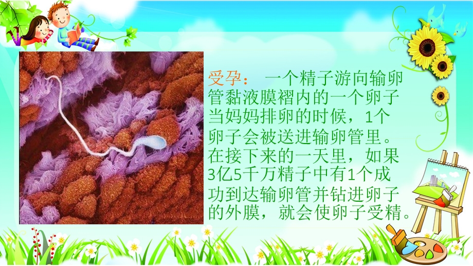 小班数学《1--10数字认识》PPT课件.pptx_第3页