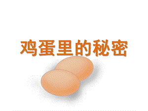 大班科学《鸡蛋里的秘密》PPT课件教案鸡蛋里的秘密.pptx