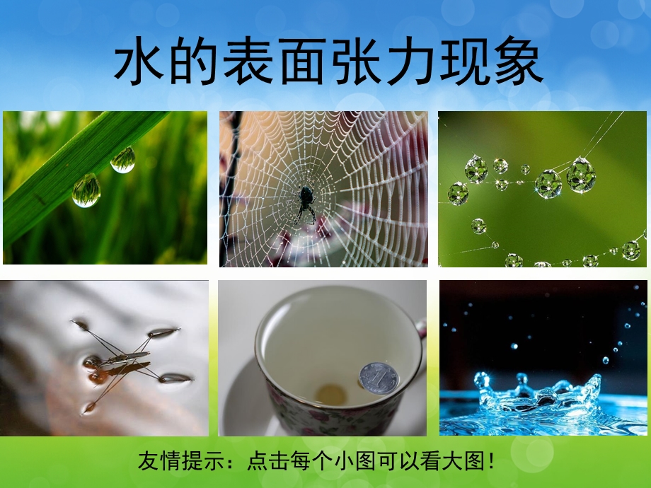 大班科学《水的表面张力》PPT课件教案PPT课件.pptx_第3页