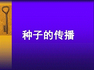 大班科学活动《种子的传播》PPT课件教案大班科学活动：种子的传播.pptx