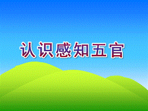 小班健康《认识感知五官》PPT课件教案幼儿课件-认识五官(五官很重要).pptx [修复的].pptx