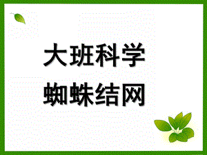 大班科学《蜘蛛结网》PPT课件大班科学：蜘蛛结网.pptx