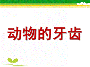 大班科学《动物的牙齿》PPT课件教案科学大班上第十六周+《动物的牙齿》.pptx