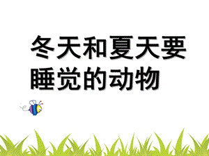 大班科学《冬天和夏天睡觉的动物》PPT课件大班科学--冬天和夏天要睡觉的动物.pptx