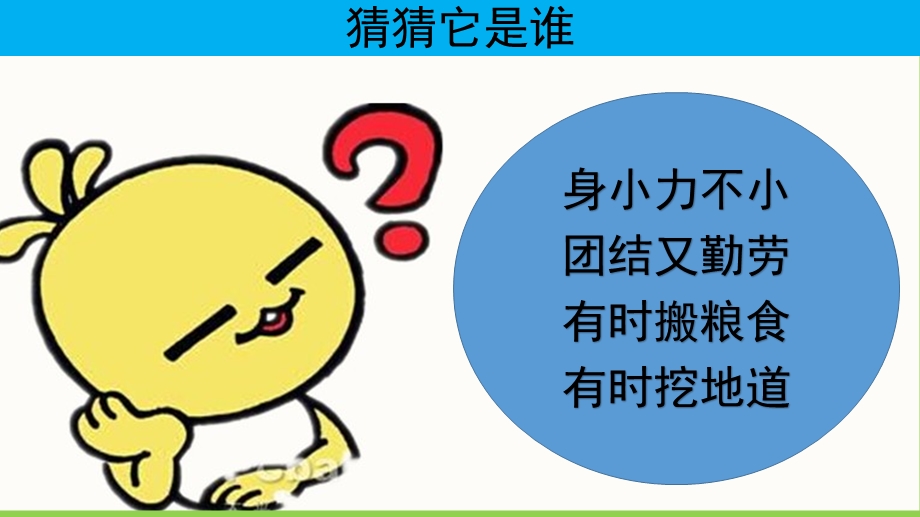 中班语言故事《运馅饼》PPT课件教案中班语言故事《运馅饼》.pptx_第3页