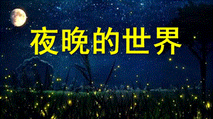 大班科学《夜晚的世界》PPT课件教案大班科学-夜晚的世界.pptx