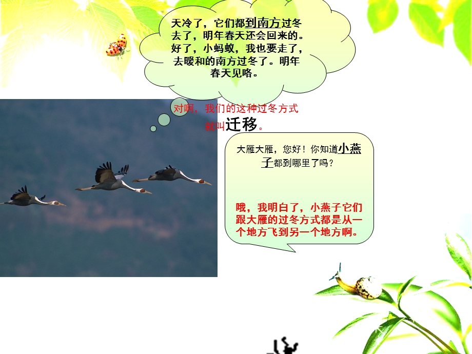 大班科学《小动物怎么过冬》PPT课件教案PPT课件.pptx_第3页